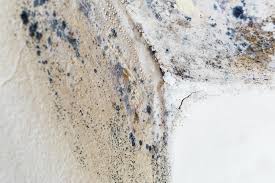 Best Residential Mold Inspection & Testing in USA